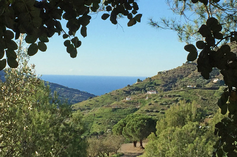 Los Dos Algarrobos - Aussicht